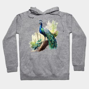 Peafowl Hoodie